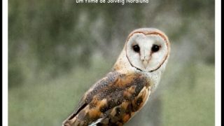 SOU AUTOR DO MEU NOME MIA COUTO