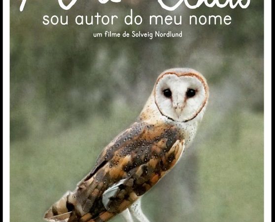 SOU AUTOR DO MEU NOME MIA COUTO